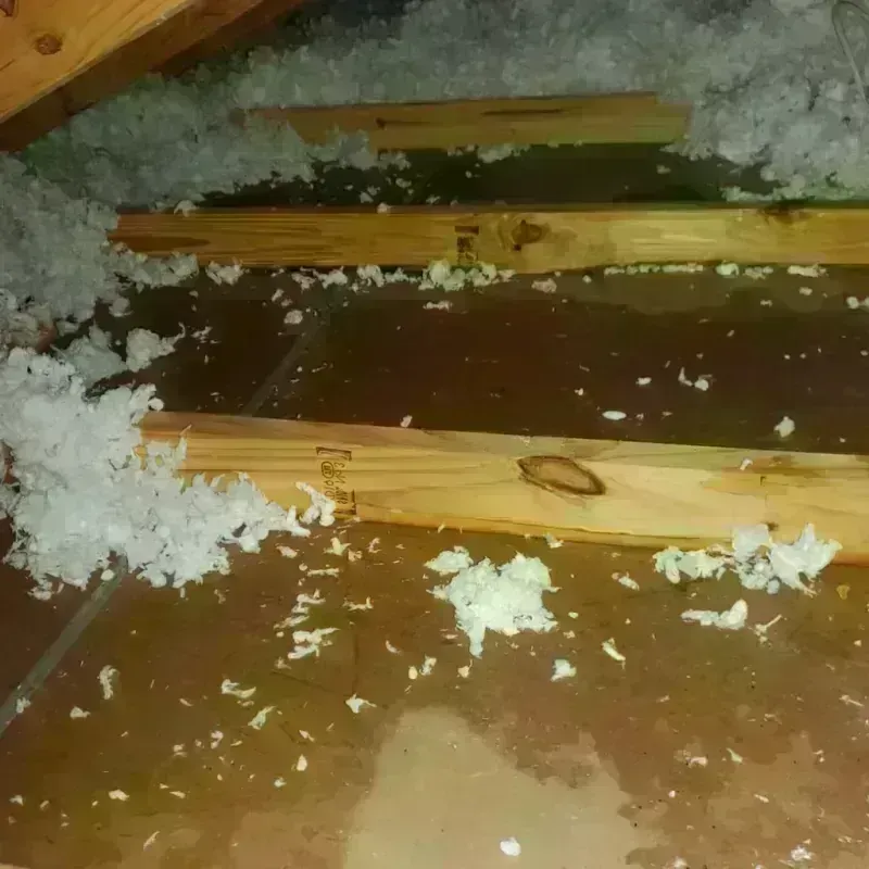 Attic Water Damage in Jefferson City, MO