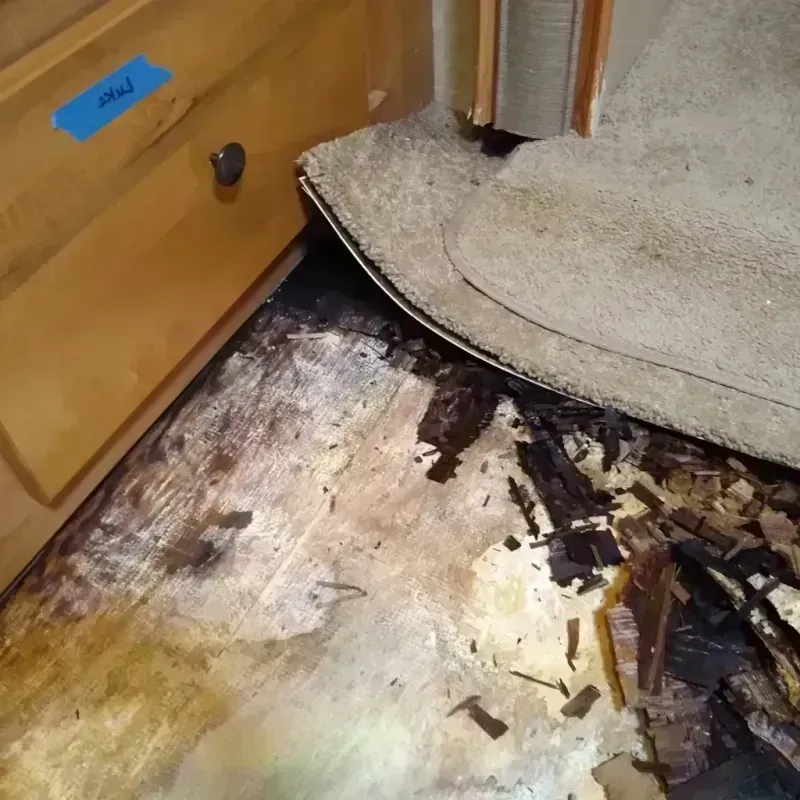 Wood Floor Water Damage in Jefferson City, MO